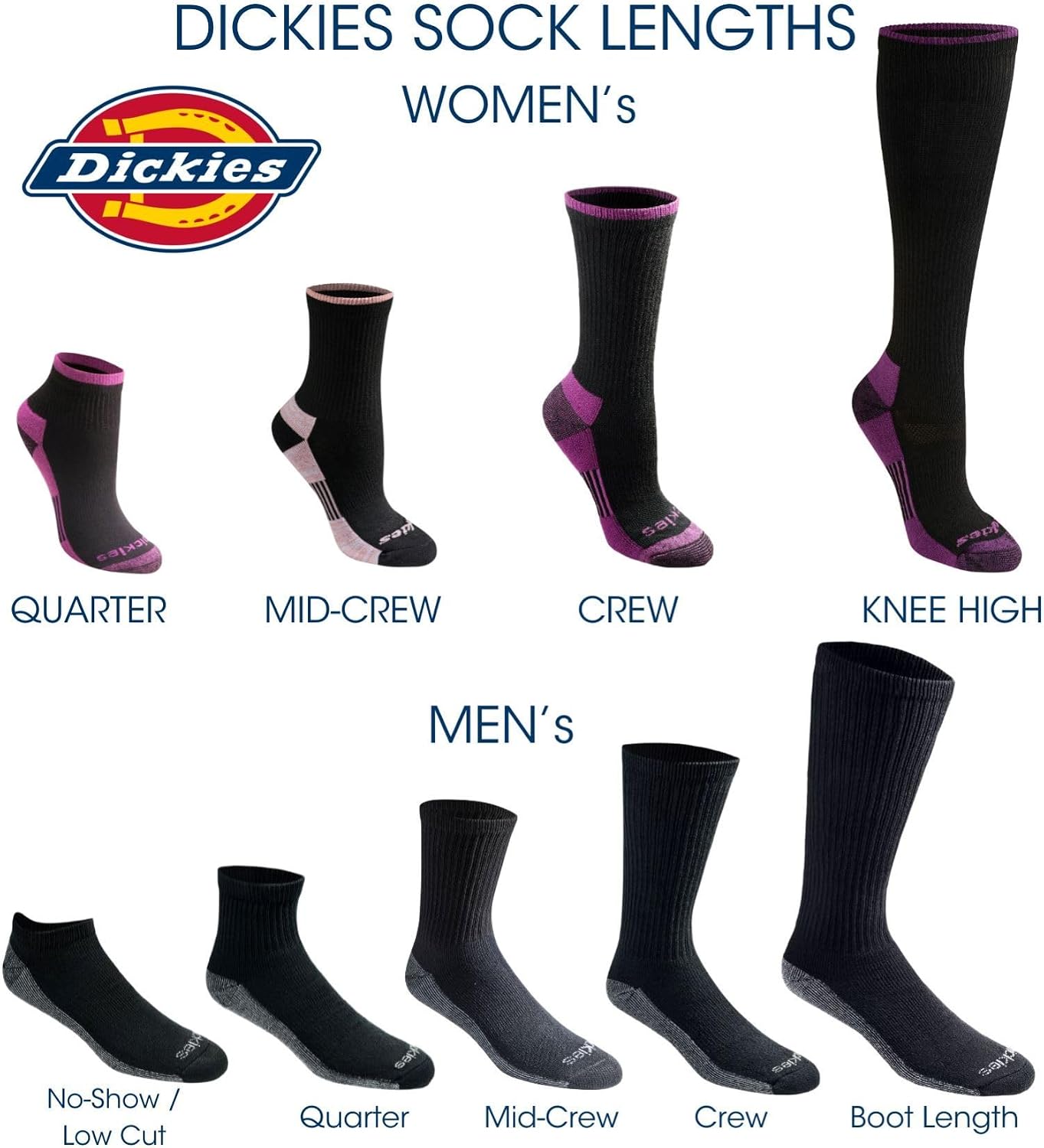 Variant options and assortment differences across the model family.