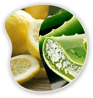 Citrus and aloe ingredient image.