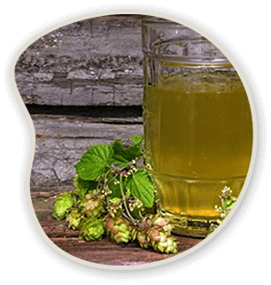 Hops shown next to a glass container of liquid.