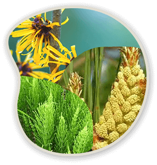 Ingredient collage with multiple botanical images.